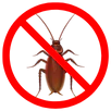 Cockroach Control Sunbury