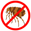 Flea Control Sunbury