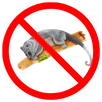 Possum Removal Sunbury
