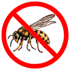 Wasp Control Sunbury